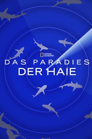 Image Das Paradies der Haie