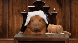 Cochon dingue: 3×14