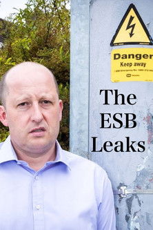 The ESB Leaks