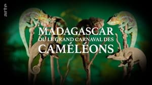 Madagascar ou le grand carnaval des caméléons