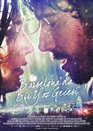 Barselona'da Bir Yaz Gecesi (2013)