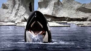 Orca: A Baleia Assassina