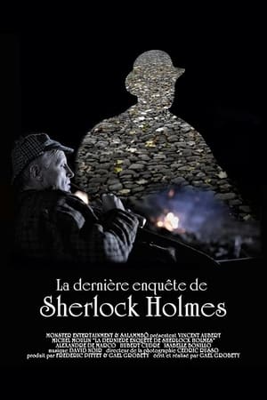 Poster La dernière enquête de Sherlock Holmes 2010