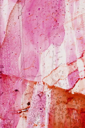 Xtended Release (2026)