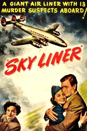 Sky Liner film complet