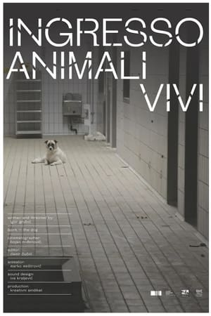 Image Ingresso animali vivi