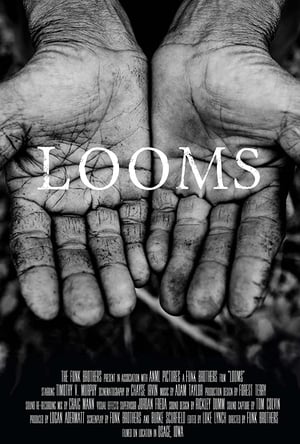 Poster LOOMS (2014)