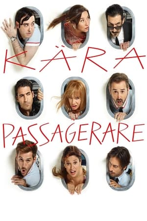 Kära passagerare 2013