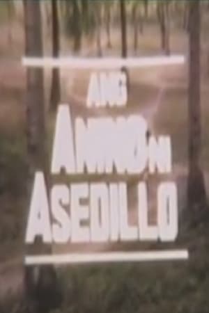 Poster Ang Anino Ni Asedillo (1988)