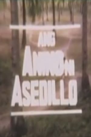 Poster Ang Anino Ni Asedillo 1988