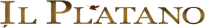 Çınar Ağacı — Logos 5