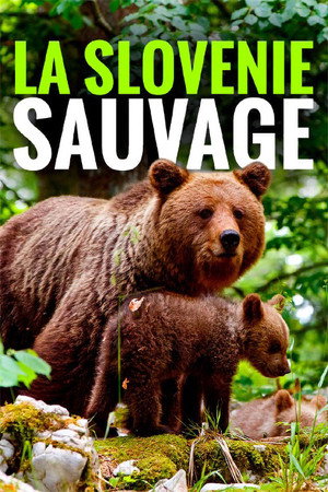 Wild Slovenia 7