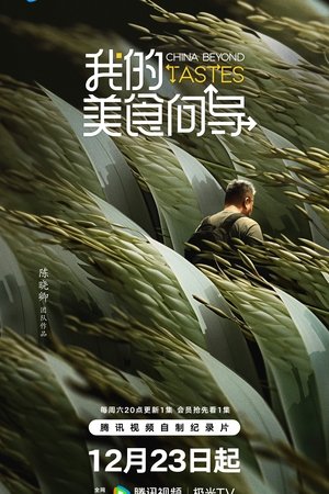 Affiche de 我的美食向导