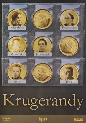 Poster Krugerandy 2002
