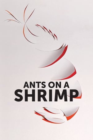 Image Ants on a Shrimp