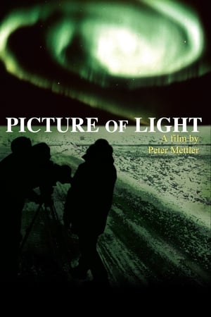 Picture of Light 1994