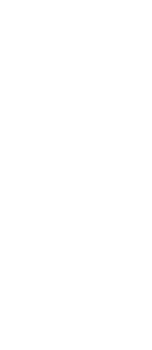 Ảnh 110