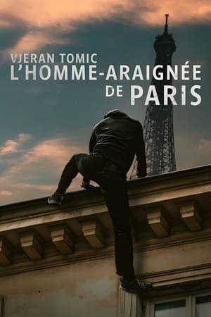 Poster de Vjeran Tomic: El hombre araña de Paris