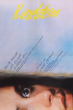 Poster Kieselsteine 1983