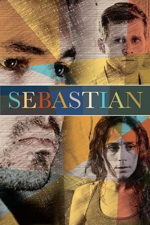 Poster Sebastián 2014