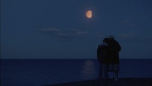 The Summer Book (2025)