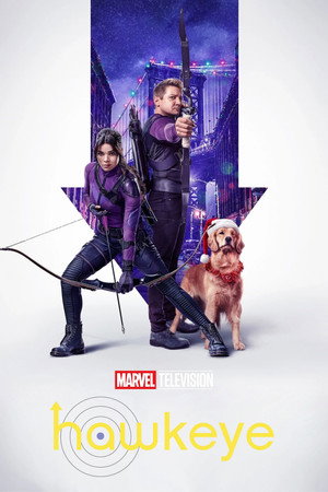 Постер сериала «Соколиный глаз (2021)» — (16 из 208)