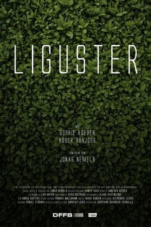 Poster Liguster (2023)