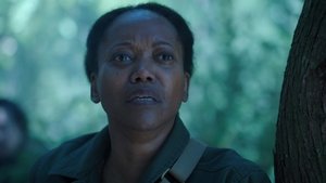 Invasion 3×9
