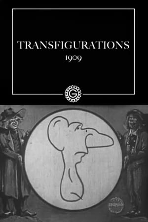 Transfigurations poster