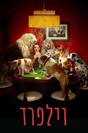 Image וילפרד