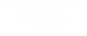 The United States of Insanity