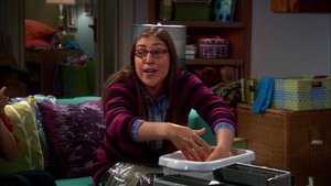 The Big Bang Theory Season 5 Episode 4