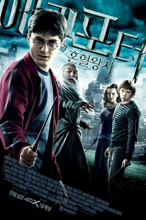 Poster 해리 포터와 혼혈왕자 2009