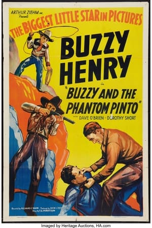 Poster Buzzy and the Phantom Pinto (1941)