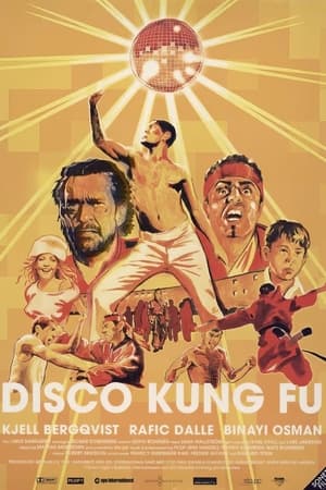 Poster Disco Kung Fu 2002