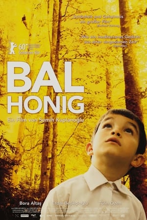 Poster Bal - Honig 2010