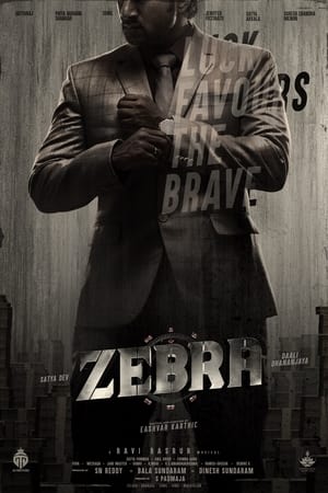 Zebra 12