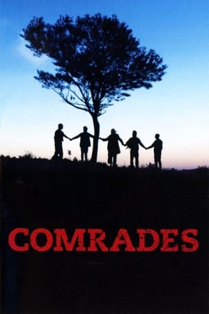 Poster Comrades 1987