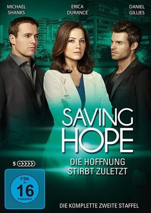 Saving Hope: Staffel 2