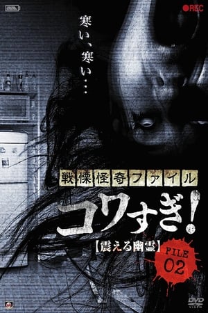 Poster 戦慄怪奇ファイル コワすぎ！ FILE-02 震える幽霊 2012