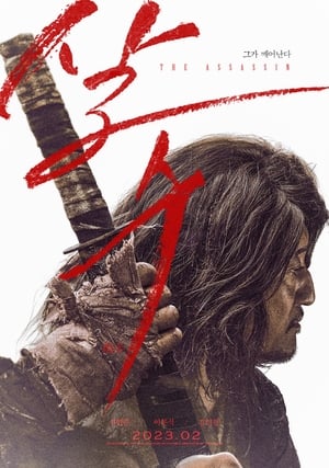 The Assassin 19