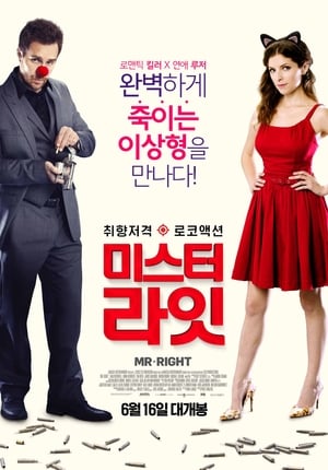 Poster 미스터 라잇 2016