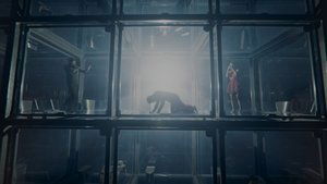 Images posters
