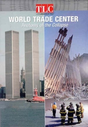 Image World Trade Center: Anatomy of the Collapse