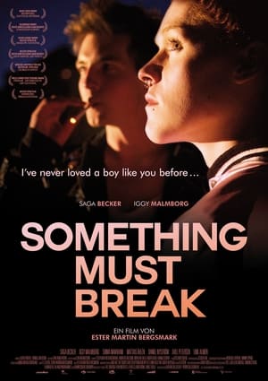 Poster Something Must Break 2014