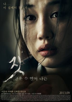 Poster Act (2013)