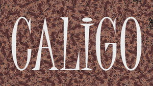 Caligo