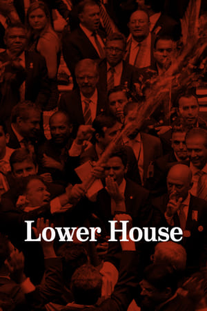 Poster Lower House 2018