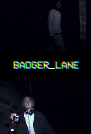 Poster Badger Lane 2016