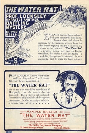 Poster The Water Rat (1913)
